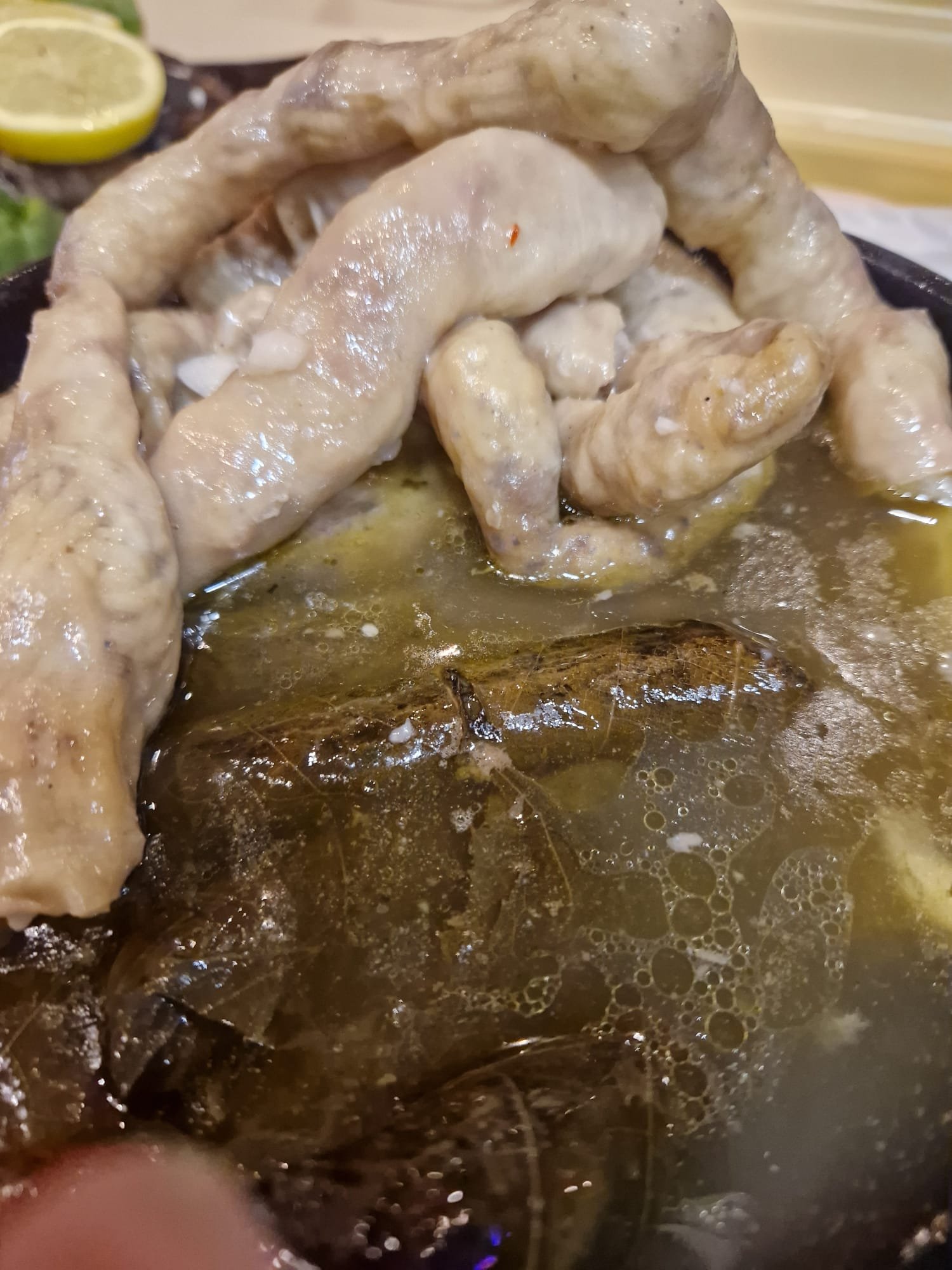 YABRAK MIT SUGUKAT